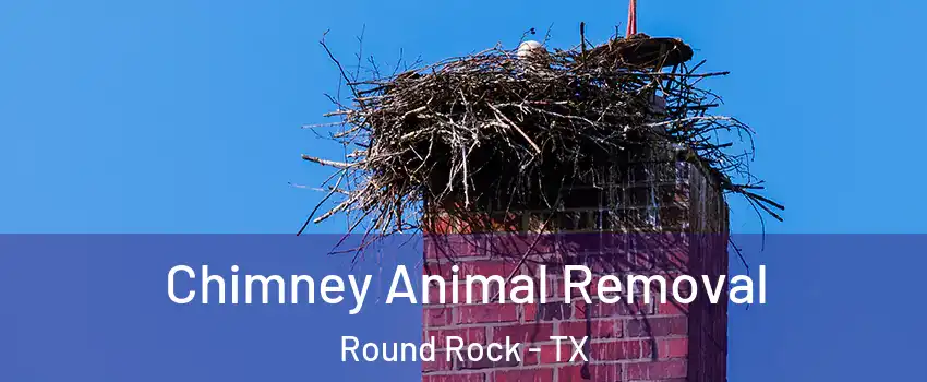  Chimney Animal Removal Round Rock - TX