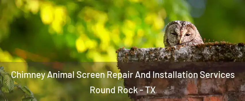  Chimney Animal Screen Repair And Installation Services Round Rock - TX