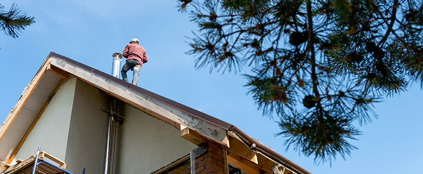 Birds Removal Contractors from Chimney in Round Rock, TX